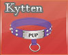 -K- Pup Purple Collar