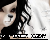[ZB] Brown Husky Tail