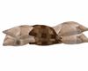 OFB Couples Pillows