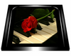 Piano rose