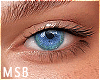 B | Blue SC Eyes F/M