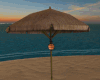 *Bamboo Parasol