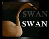 [cy] SWAN Animated