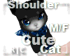 R|C Scarf Cat D/Blue MF