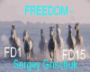 FREEDOM - Sergey Grischu