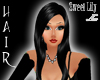 B*Black Shine Sweet Lily