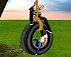 Old Fashioned Tire Swing