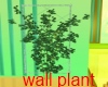 green wall plant