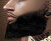 BEARD BASE SIDEBURNS