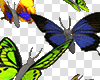 Animated Butterfly 9