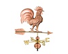 Weather Vane