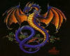 Mulit Colored Dragon