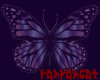 ☆butterfly purple
