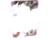 D x B