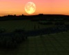 {LS} Harvest Moon Field