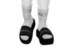 vete slides