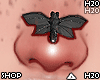 Nose Fly Insect Black