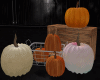 S! HARVEST PUMPKINS