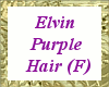 Elvin Purple Hair - F