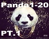 Designer-Panda PT.1