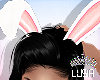 LL** Easter Bunny Ears