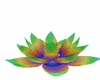 rainbow lotus 