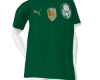 ⚽ Palmeiras 2024 ⚽