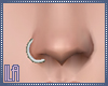 ::iLa:: Silver nose ring