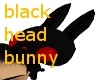 black headbunny