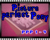 (DC)Picture Perfect Pony