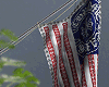 金 CH Wall Flag
