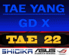 Tae Yang -GD X