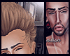 ♏ x Buisness Light