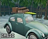 Hawaii Car