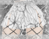neurons