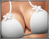 !MD Hawaii Set DRV