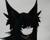 MF Wolf Ears Blk