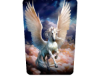 MI Pegasus Cutout