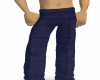 JB~MENS NAVY BLUE PANTS