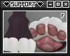 S | Dahl Paws v2.2