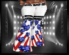 Patriotic Flares