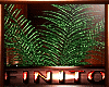 (K) FINITO -Plants.3