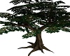 Magical Elven Tree