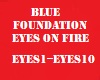 Blue foundation