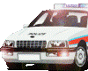 Car Police