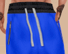 AK Blue Sporty Shorts
