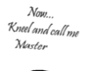 {M} Master sign