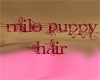 Milo Puppy hair (R)