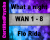 Flo Rida - What a night