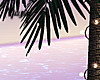 M| Lavish Palm Tree 2